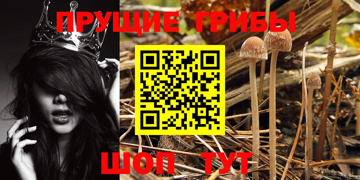 Псилоцибиновые грибы мухоморы  Вход с VPN  Королёв 
